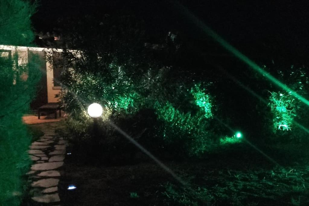 Villetta Reparata Санта-Тереза-Галлура Екстер'єр фото